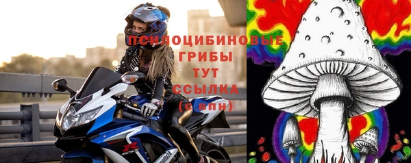 мескалин Арсеньев