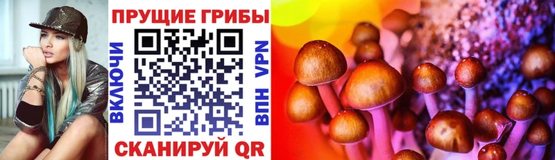 MEGA ТОР  Уварово  Галлюциногенные грибы прущие грибы 